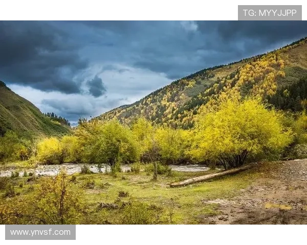 非洲雄狮崛起象征大地力量与生态复兴的壮丽篇章 - 副本 - 副本 - 副本 非洲雄狮崛起象征大地力量与生态复兴的壮丽篇章 - 副本 - 副本 - 副本
