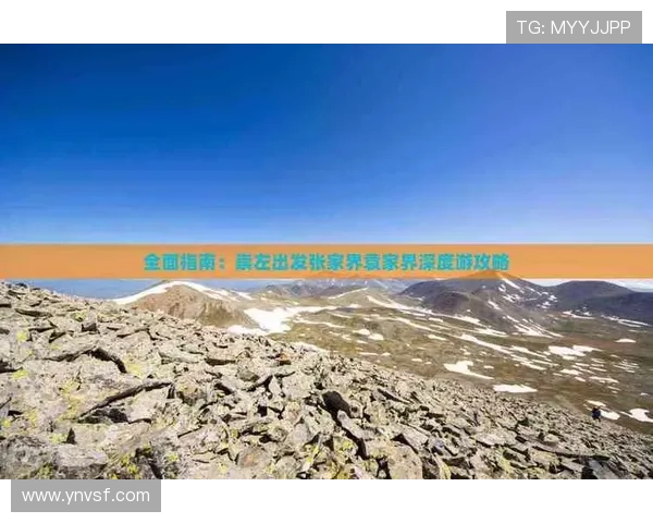 NBA赛事资讯网站全面指南助你掌握最新动态与深度分析 NBA赛事资讯网站全面指南助你掌握最新动态与深度分析