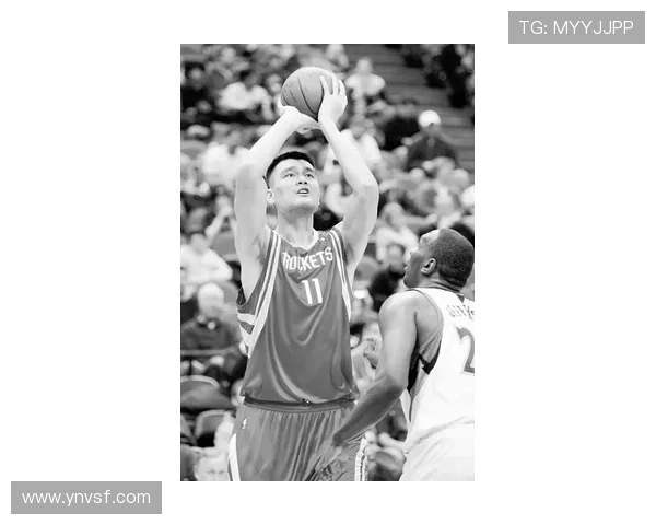 NBA最新赛事动态全覆盖平台实时更新球员数据与赛况分析 - 副本 - 副本 - 副本